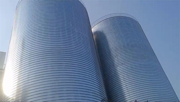 新丰2座混凝土高架卷板仓